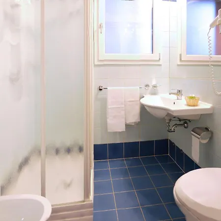 Hotel Dal Ponte 3*